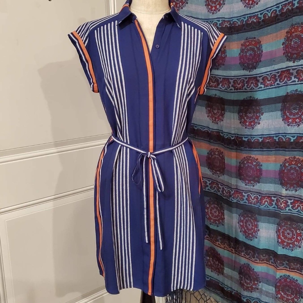 Striped Button Down Express Dress